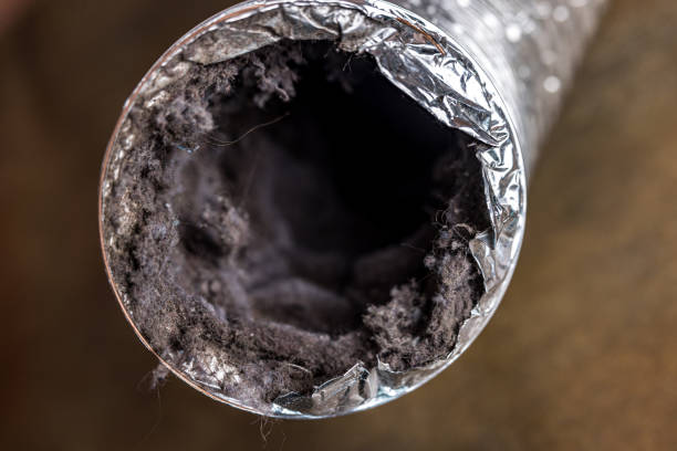 Best Commercial HVAC Duct Cleaning  in Kingsville, TX