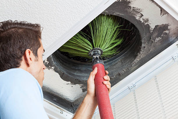 Best Air Duct Cleaning Near Me  in Kingsville, TX